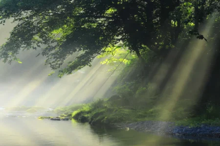 7月7日、時々雨